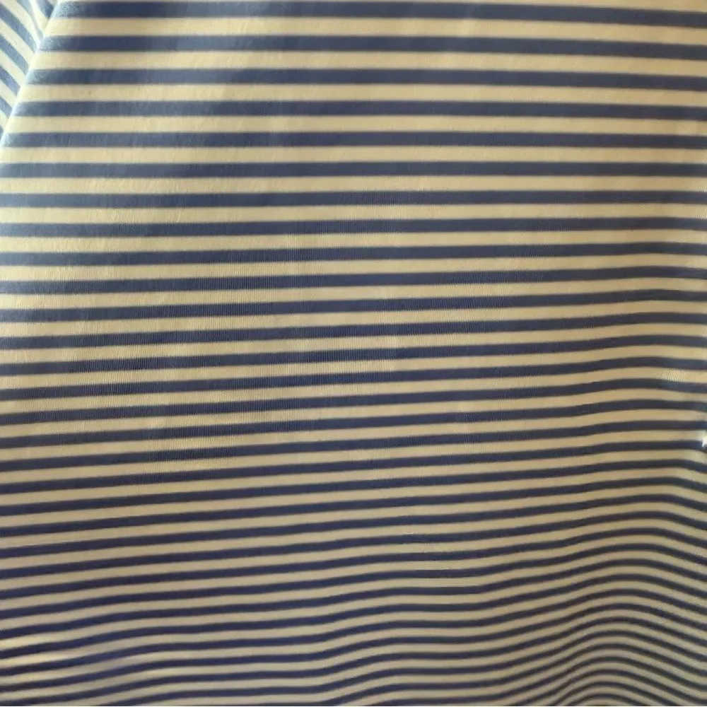 Ralph Lauren Blue and White Striped Polo Shirt Preppy